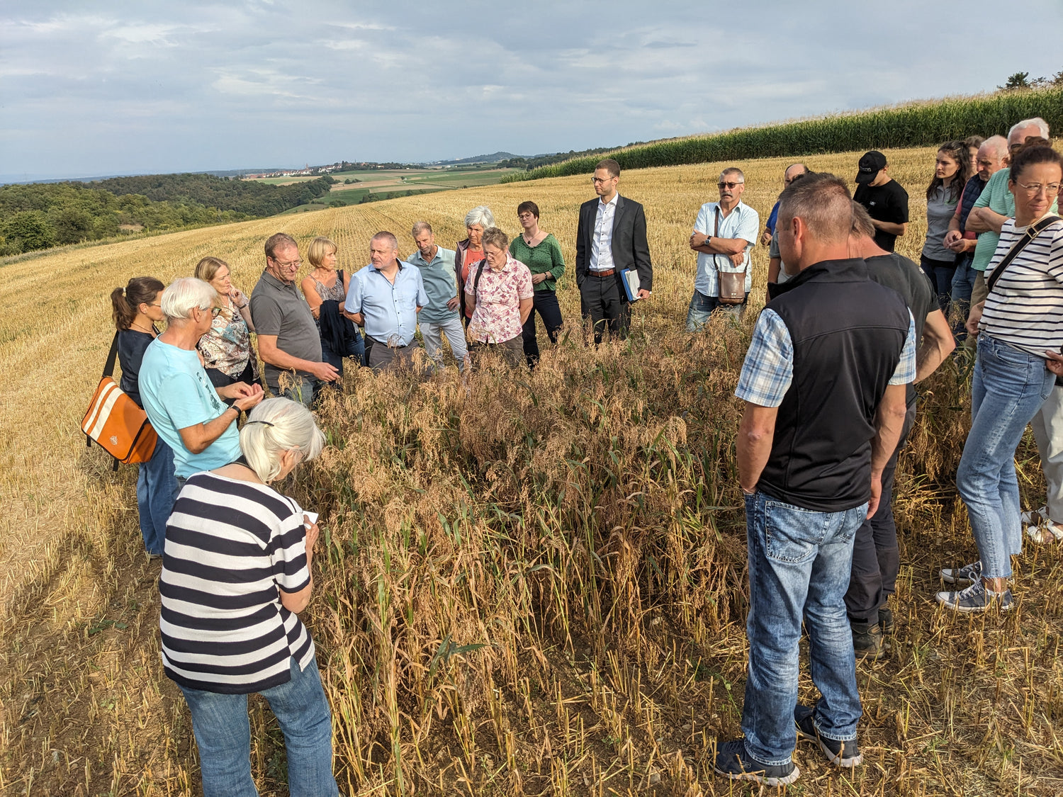 Demnächst Hirseöl erhältlich?