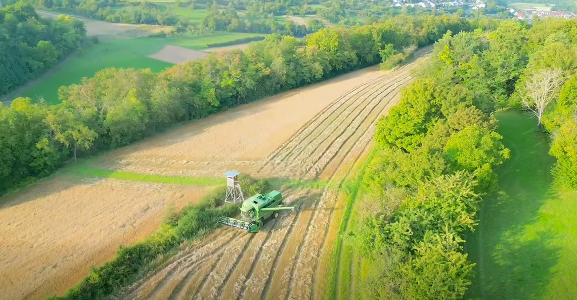 Eindrucksvolle Leinernte