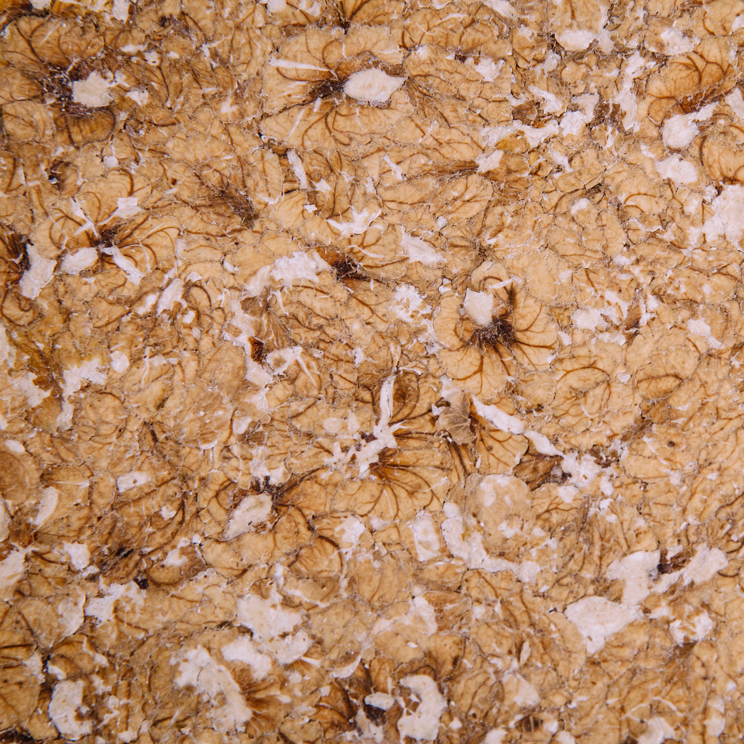 Walnuss-Presskuchen 9 kg