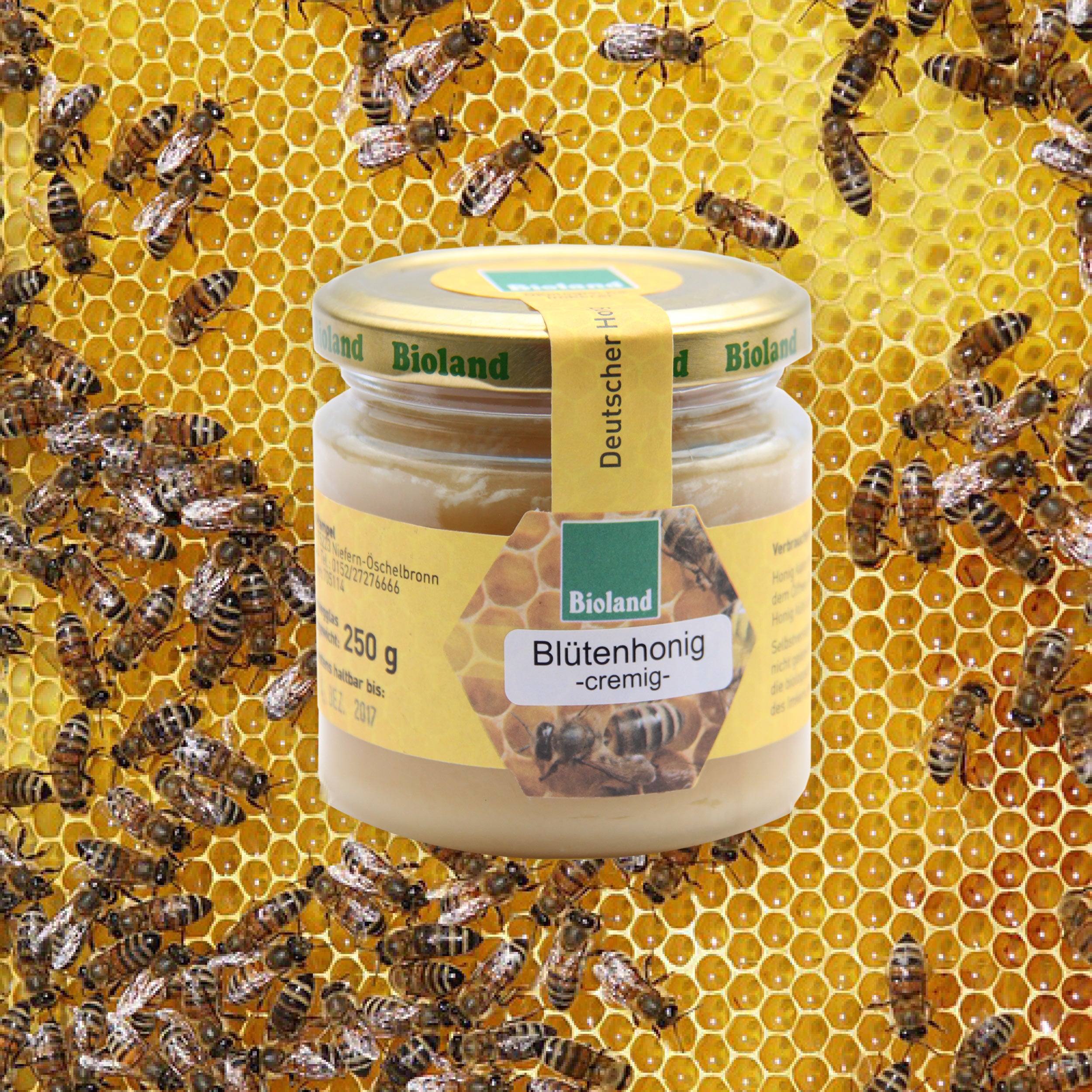 Bioland Blütenhonig
