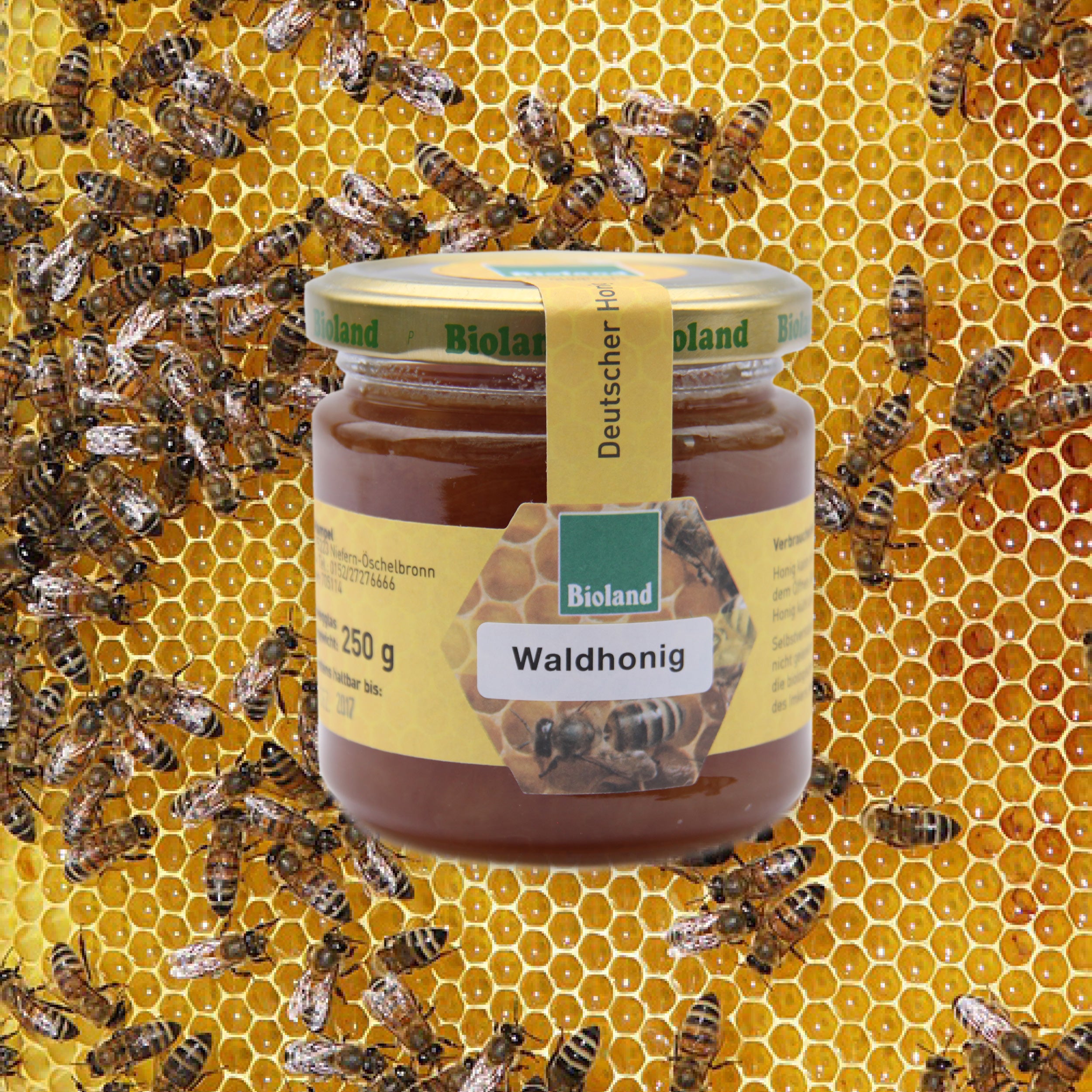 Bioland Waldhonig