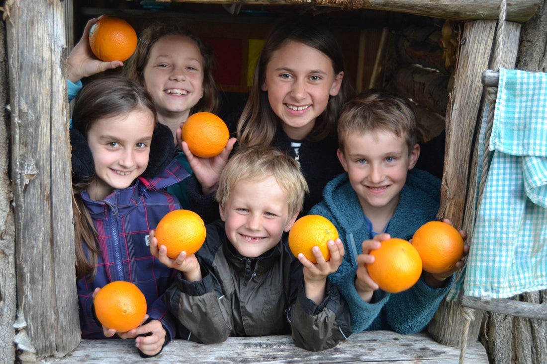 OrangenAktion 2023 - jetzt vorbestellen!