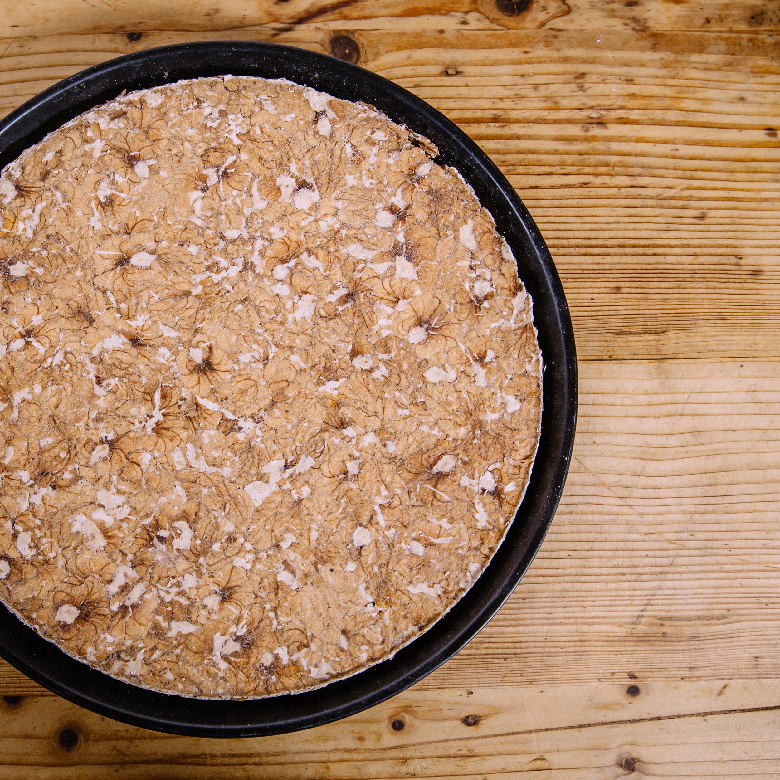 Walnuss-Presskuchen 9 kg